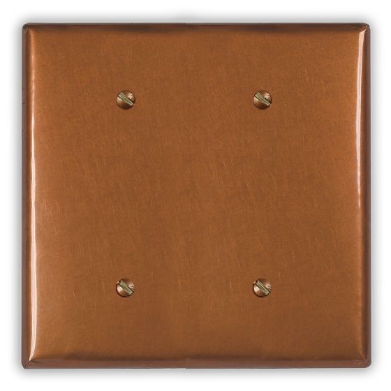 Antique 2 Blank Copper Switch Plate