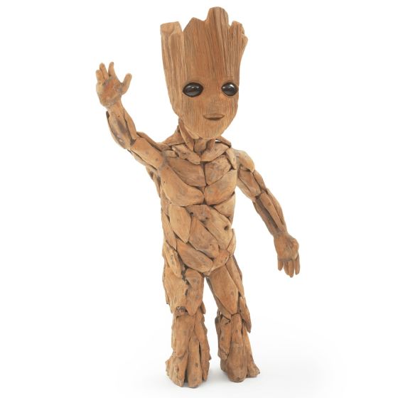 Baby Root