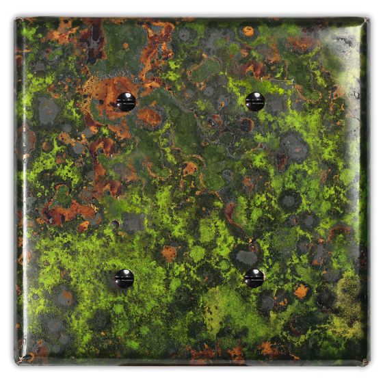 Irish Moss 2 Blank Copper Switch Plate