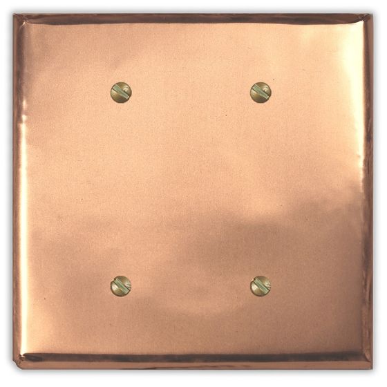 Raw Copper 2 Blank Copper Switch Plate