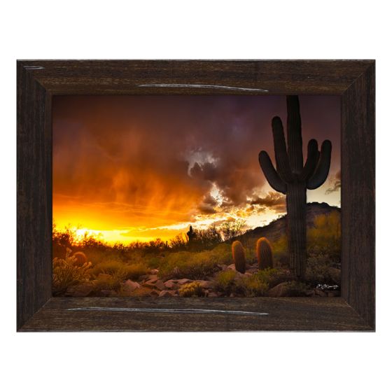 "Saguaro Sunset" by Mitchell Mansanarez - 7" x 10"