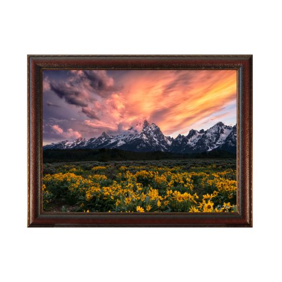 "Teton Gold" Framed Wall Art by Mitchell Mansanarez