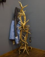 Antler Coat Tree