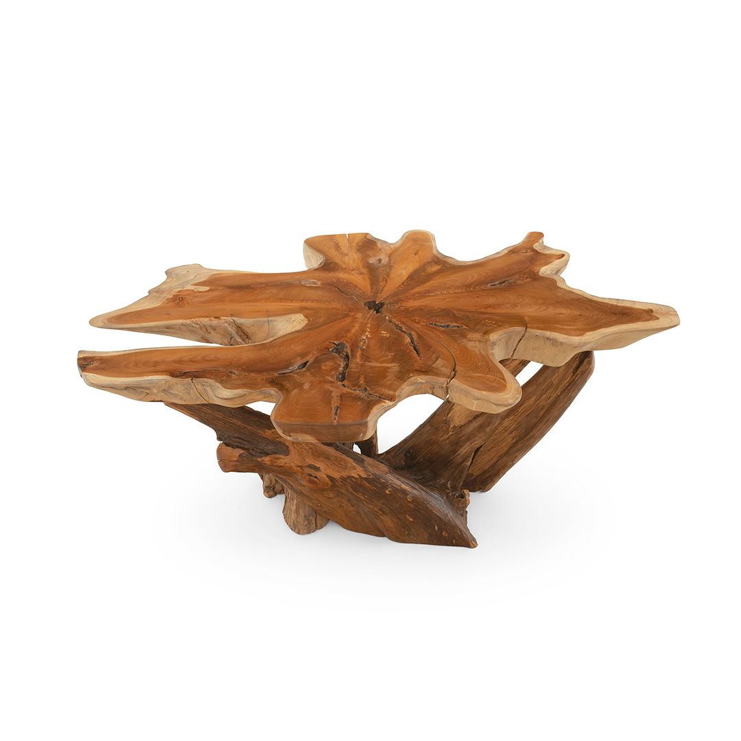 Rustic Root Coffee Table