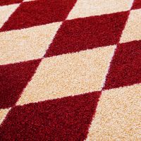 High Country Rooster Rug - Red
