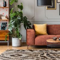 Curio Zebra Rug