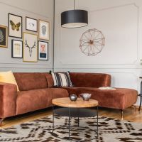Curio Zebra Rug