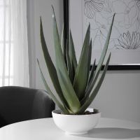 Evardo Faux Aloe Planter