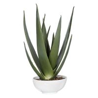 Evardo Faux Aloe Planter