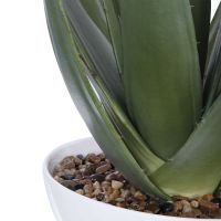 Evardo Faux Aloe Planter