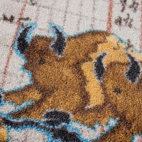 Buffalo Run Rug
