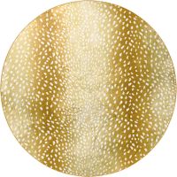 Akina Series II Rugs - Gold