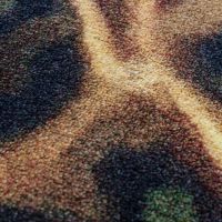Guise of a Brook Rug