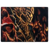 Guise of a Brook Rug