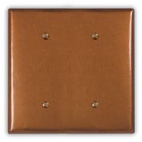 Antique 2 Blank Copper Switch Plate