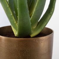Arabia Aloe Planter detail