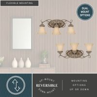 Avenant 3-Light French Bronze Vanity Light