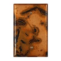 Bamboo 1 Blank Copper Switch Plate