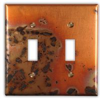 Bamboo 2 Toggle Copper Switch Plate