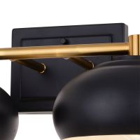 Belmont 2-Light Matte Black and Satin Brass Vanity Light