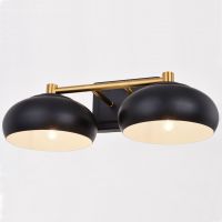 Belmont 2-Light Matte Black and Satin Brass Vanity Light
