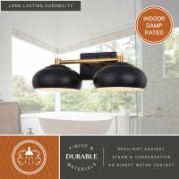 Belmont 2-Light Matte Black and Satin Brass Vanity Light