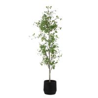 Boreal Potted Birch Tree
