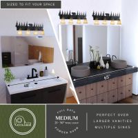 Bozeman 4-Light Burnished Bronze Vanity Light