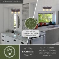 Bryce 3-Light Deer Burnished Bronze Vanity Light