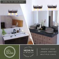Bryce 3-Light Deer Burnished Bronze Vanity Light