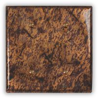 Distressed Light 2 Blank Copper Switch Plate