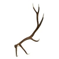 Elk Faux Antler