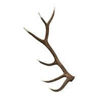 Elk Faux Antler