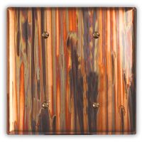 Enchantment Vertical 2 Blank Copper Switch Plate