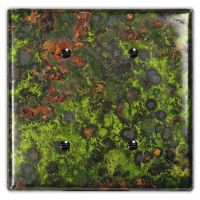 Irish Moss 2 Blank Copper Switch Plate