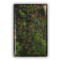 Irish Moss 1 Blank Copper Switch Plate