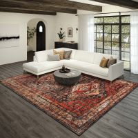 Jericho Series IX Rug - Canyon