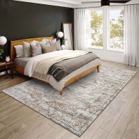 Jericho Series V Rug - Tin