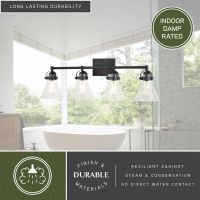 Mason 4-Light Charcoal Black Vanity Light