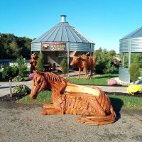 Driftwood Horse Bench with Custom Outdoor Finish