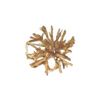 Natural Teak Wall Art