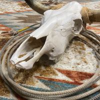 Nova Cowhide Rug