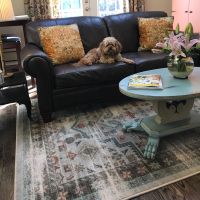 Persian Version Rug - Light Distressed