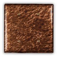 Sandstorm 2 Blank Copper Switch Plate