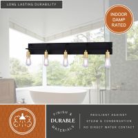 Seward Park 5-Light Black and Satin Brass Vanity Light