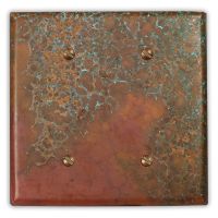 Sierra 2 Blank Copper Switch Plate