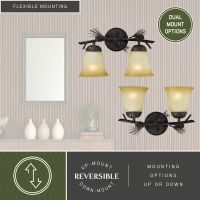 Akron 4-Light Oil Rubbed Bronze and Matte White Vanity Light