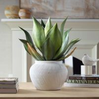 Tierra Agave Centerpiece