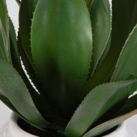 Tierra Agave Centerpiece detail
