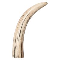 Single Antler Table Lamp